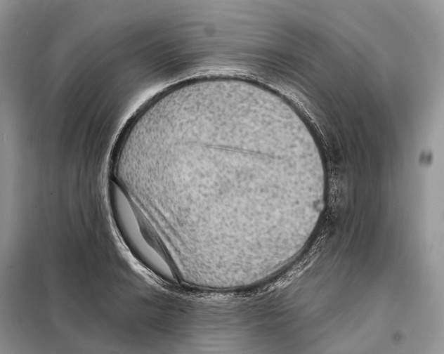 X0000097921038200804111134