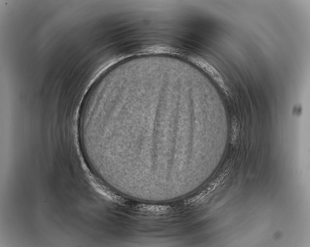 X0000097921039200804111134