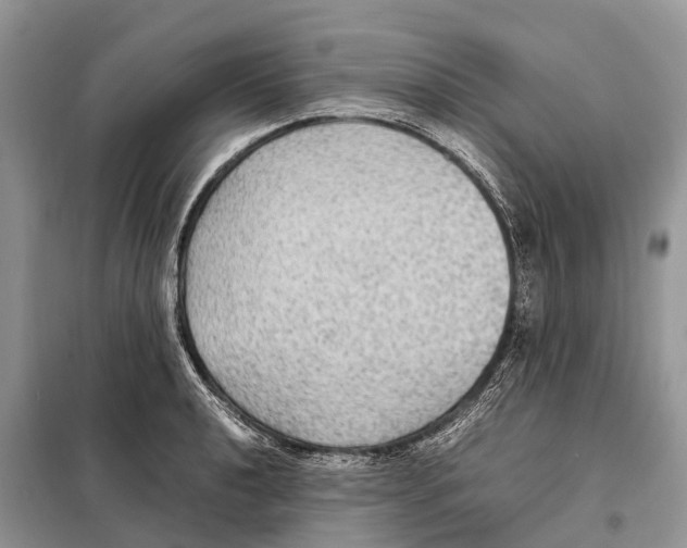 X0000097921040200804111134