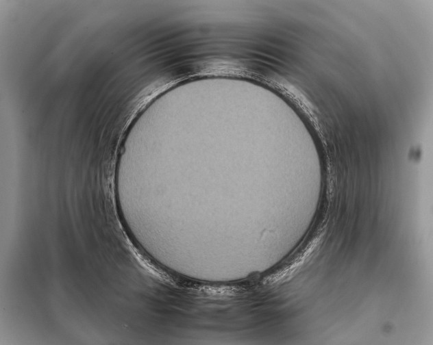 X0000097921041200804111134