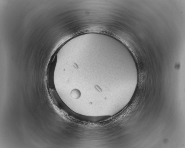 X0000097921042200804111134