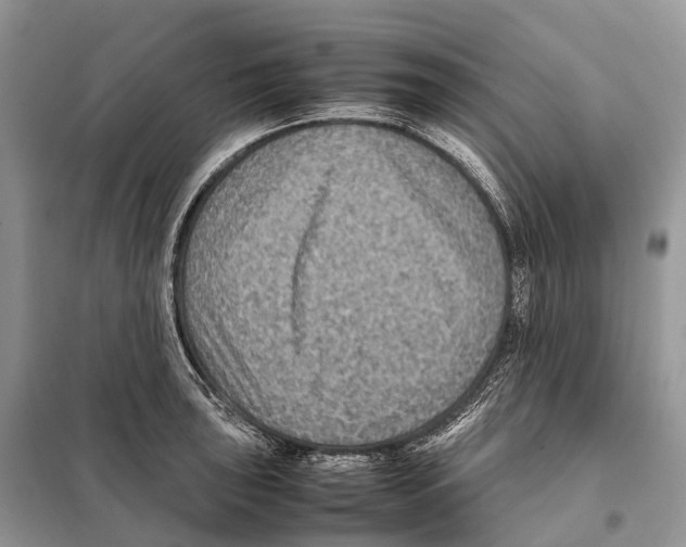 X0000097921043200804111134