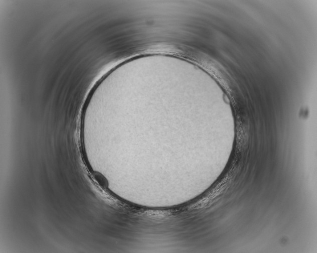 X0000097921044200804111134