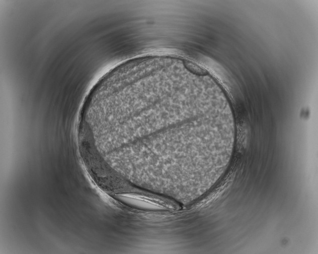 X0000097921046200804111134