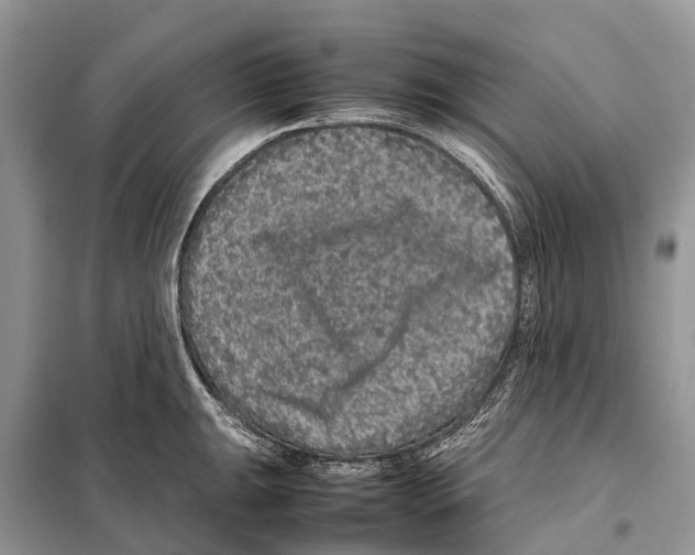 X0000097921047200804111134