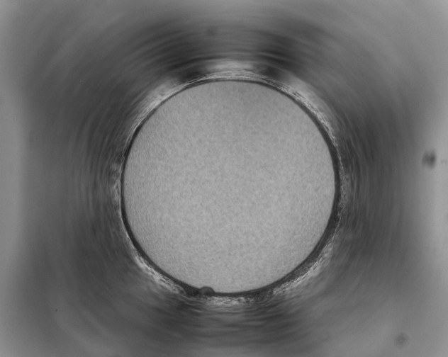 X0000097921049200804111134