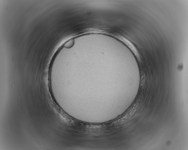 X0000097921051200804111134