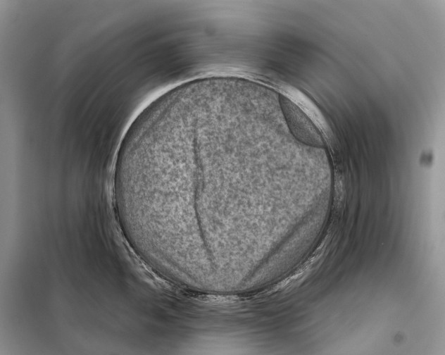 X0000097921052200804111134