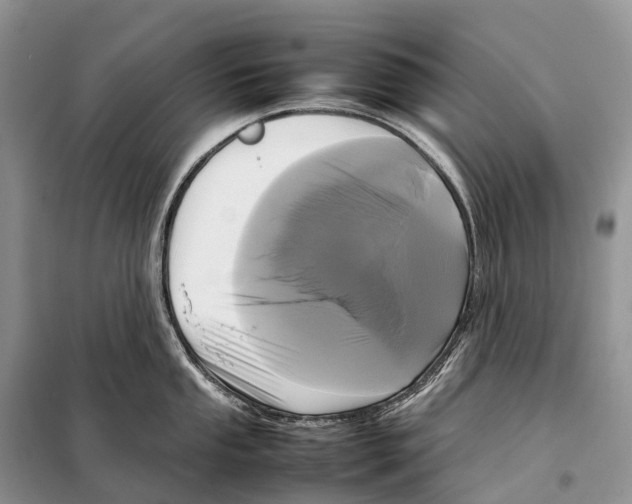 X0000097921053200804111134