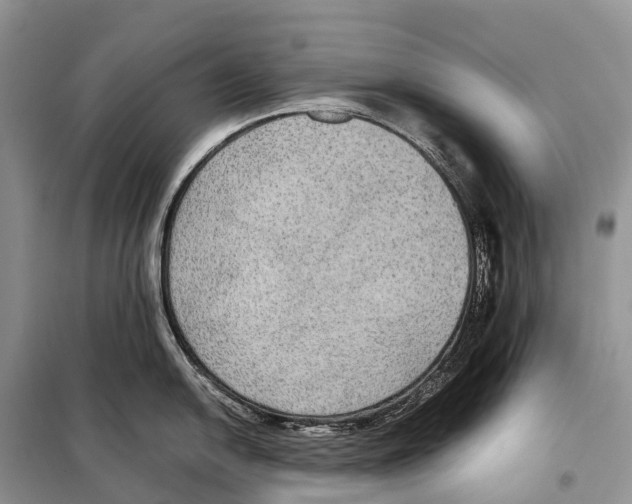 X0000097921054200804111134