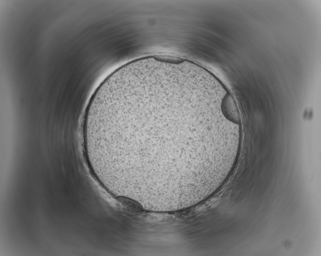 X0000097921056200804111135