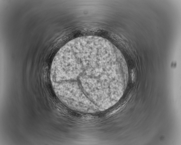 X0000097921059200804111134