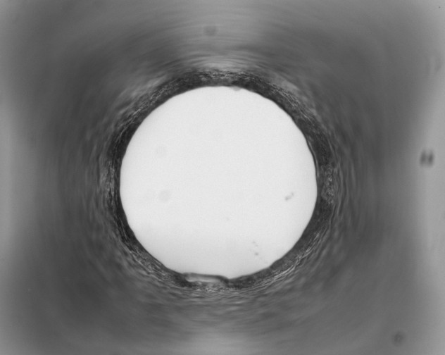 X0000097921061200804111134