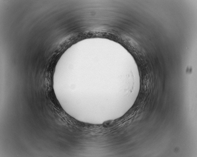 X0000097921062200804111134