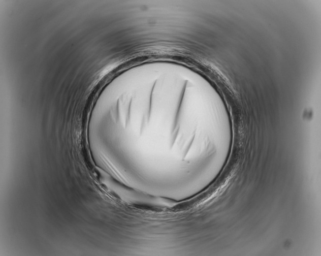 X0000097921065200804111134