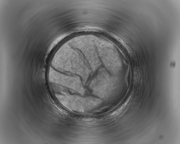 X0000097921066200804111134