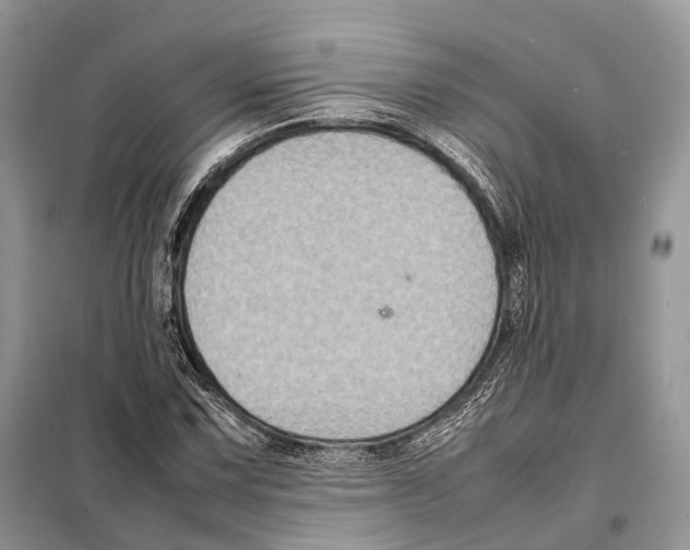 X0000097921067200804111134