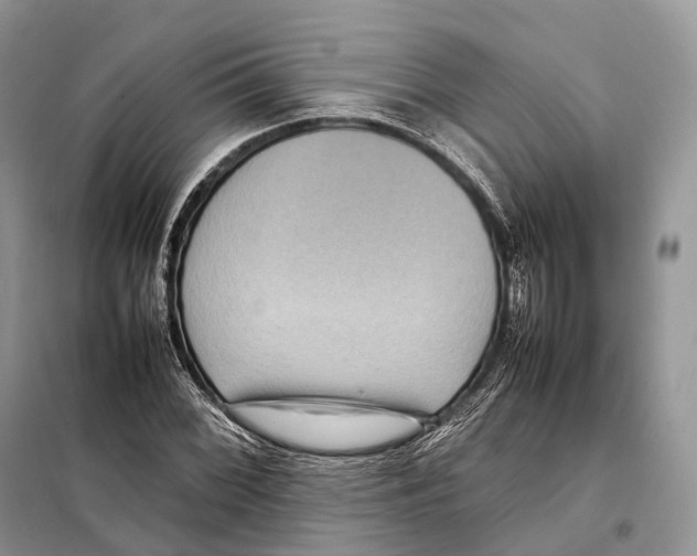 X0000097921068200804111134