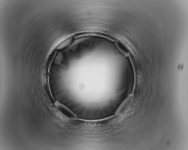 X0000097921069200804111134