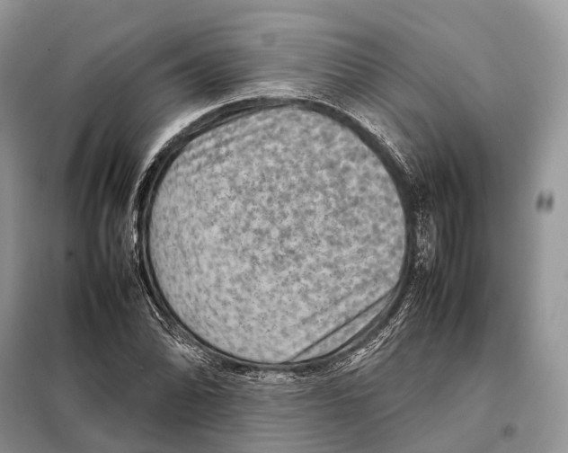 X0000097921070200804111134