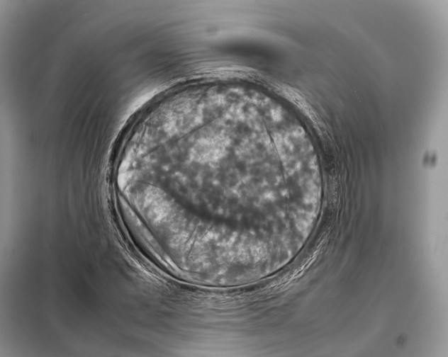 X0000097921071200804111134