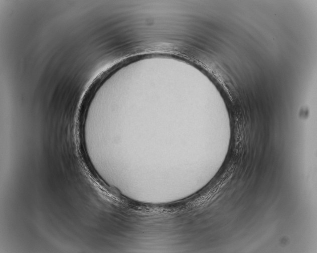 X0000097921072200804111134