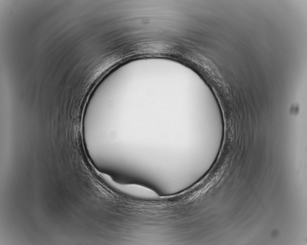 X0000097921073200804111134