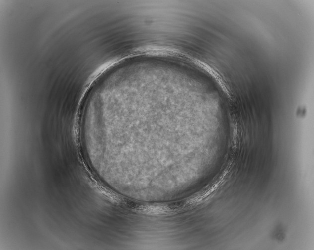 X0000097921074200804111134