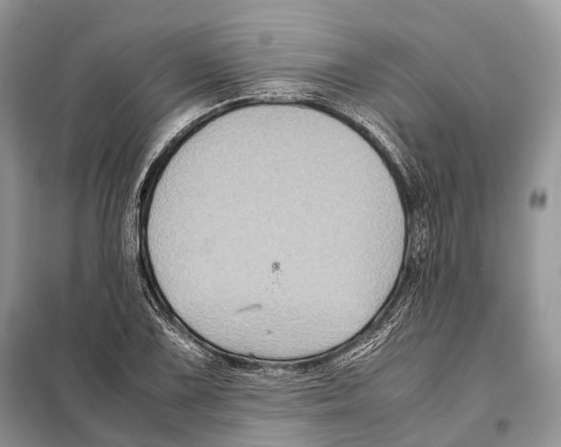 X0000097921075200804111133