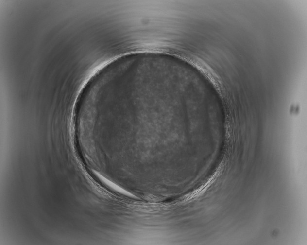 X0000097921077200804111133