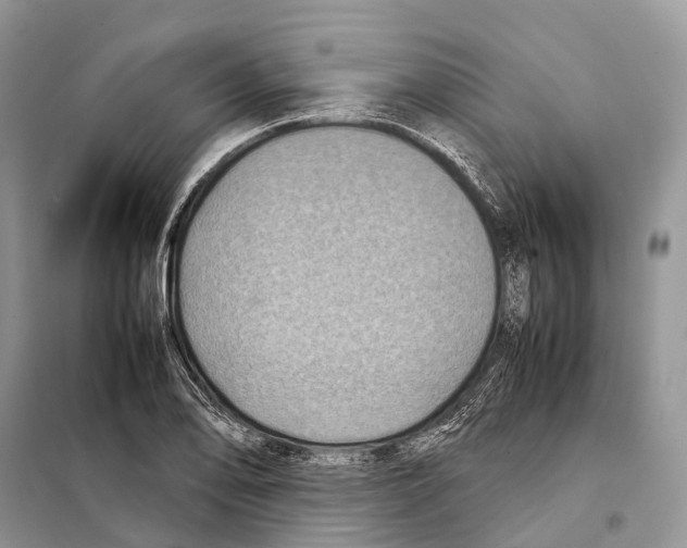 X0000097921078200804111133