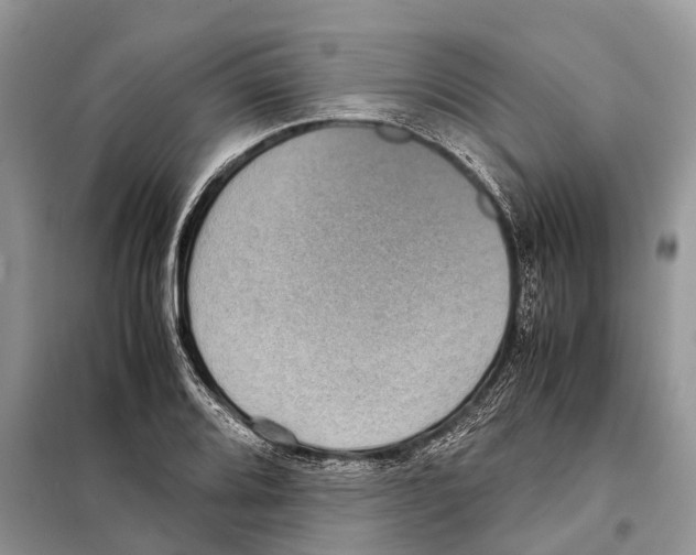 X0000097921080200804111133