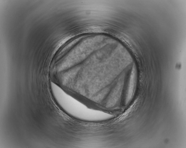 X0000097921081200804111133