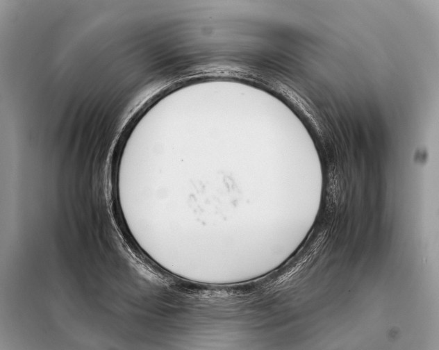 X0000097921082200804111133