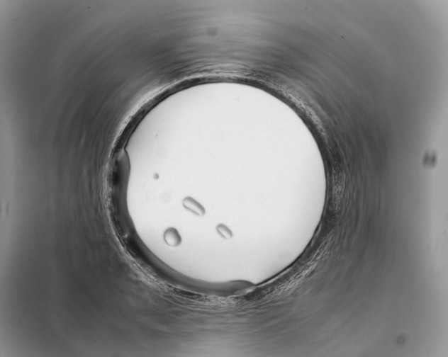 X0000097921085200804111133