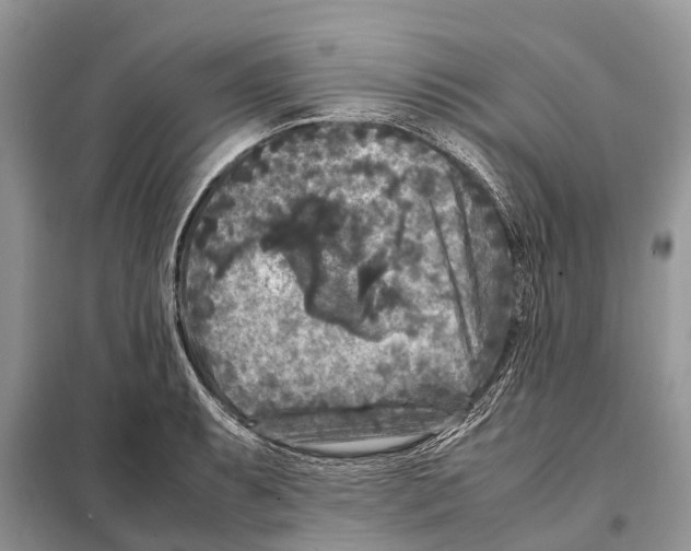 X0000097921087200804111133