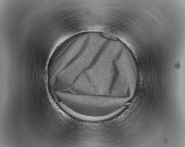 X0000097921088200804111133