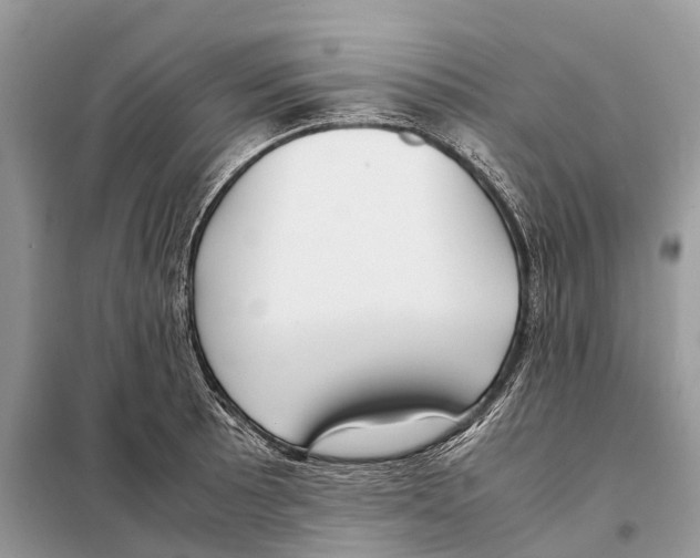 X0000097921089200804111133