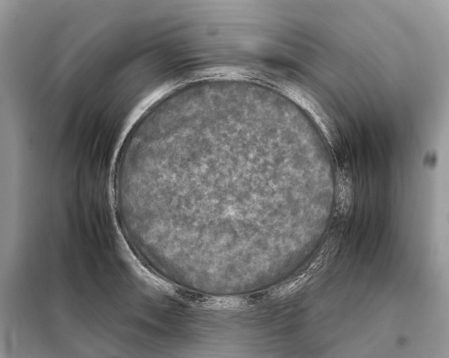 X0000097921090200804111133