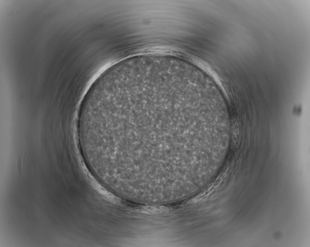 X0000097921091200804111133