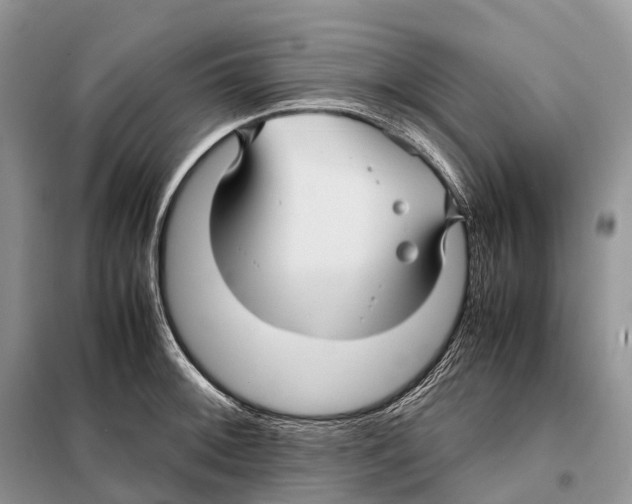 X0000097921092200804111133