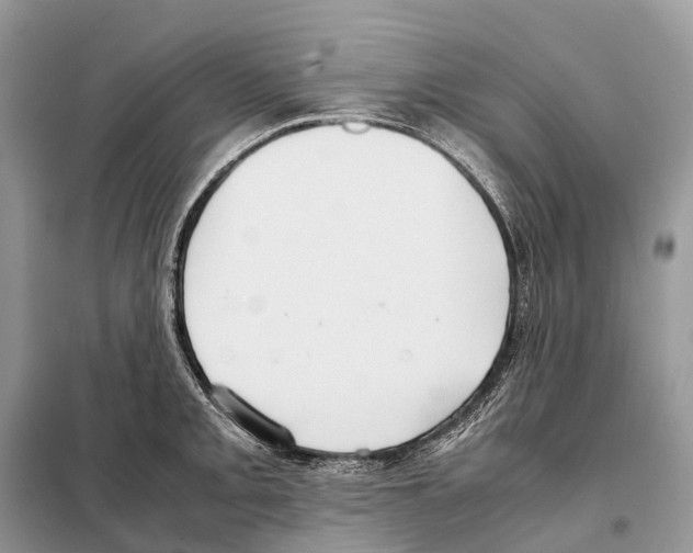 X0000097921093200804111133