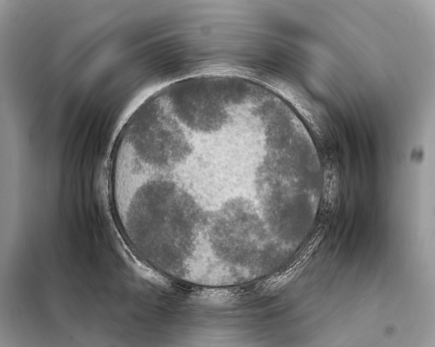 X0000097921094200804111133