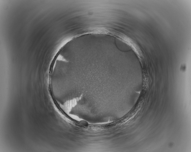 X0000097921095200804111133