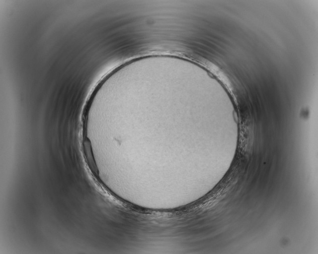 X0000097921096200804111133