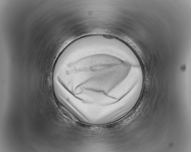 X0000097921097200804111133