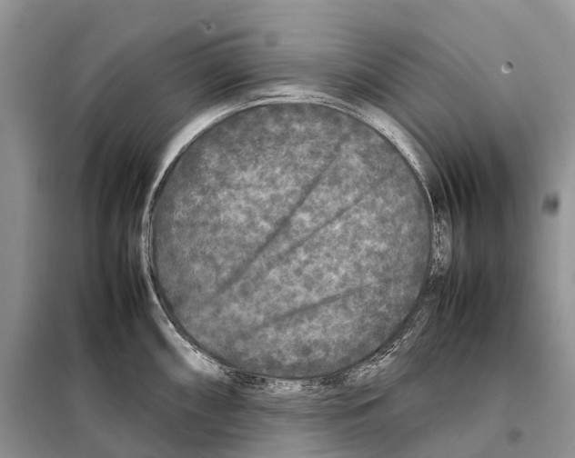 X0000097921098200804111133