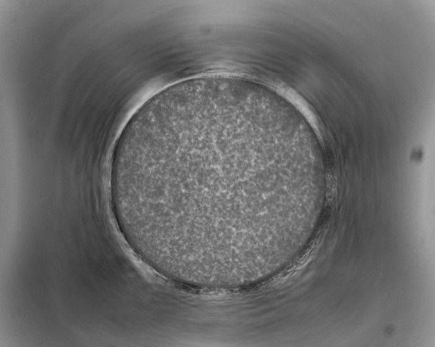 X0000097921099200804111133