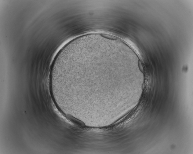 X0000097921100200804111133