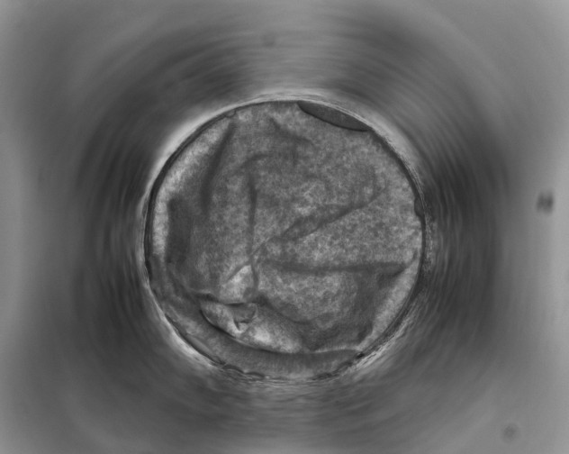 X0000097921102200804111133